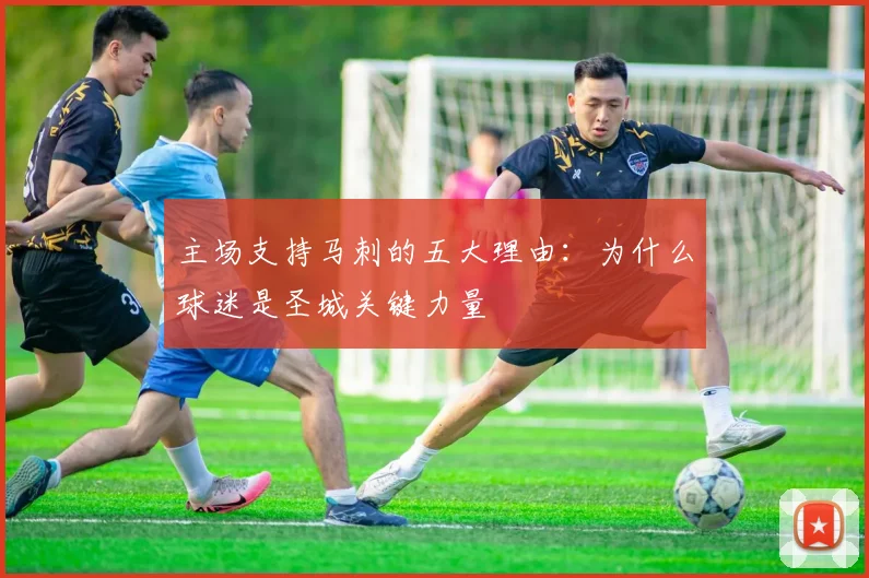 主场支持马刺的五大理由：为什么球迷是圣城关键力量