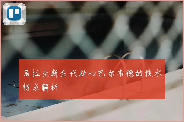 乌拉圭新生代核心巴尔韦德的技术特点解析